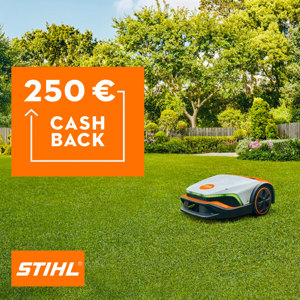 Cashback_Stihl-250Ôé¼.jpg