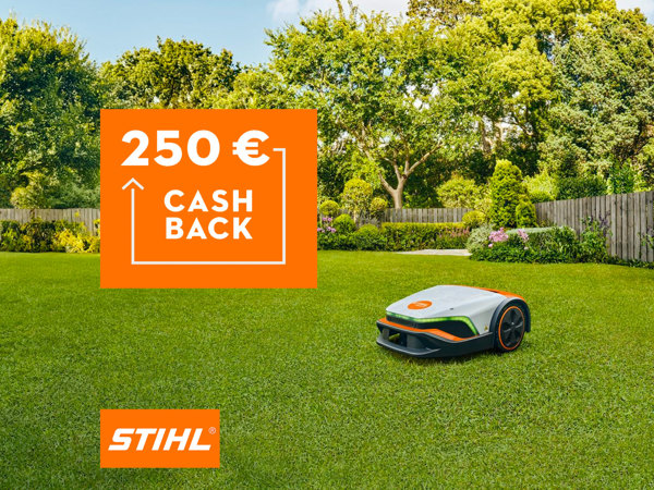 Cashback_Stihl-250Ôé¼.jpg